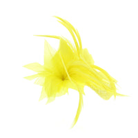 Fascinator on Clip & Brooch