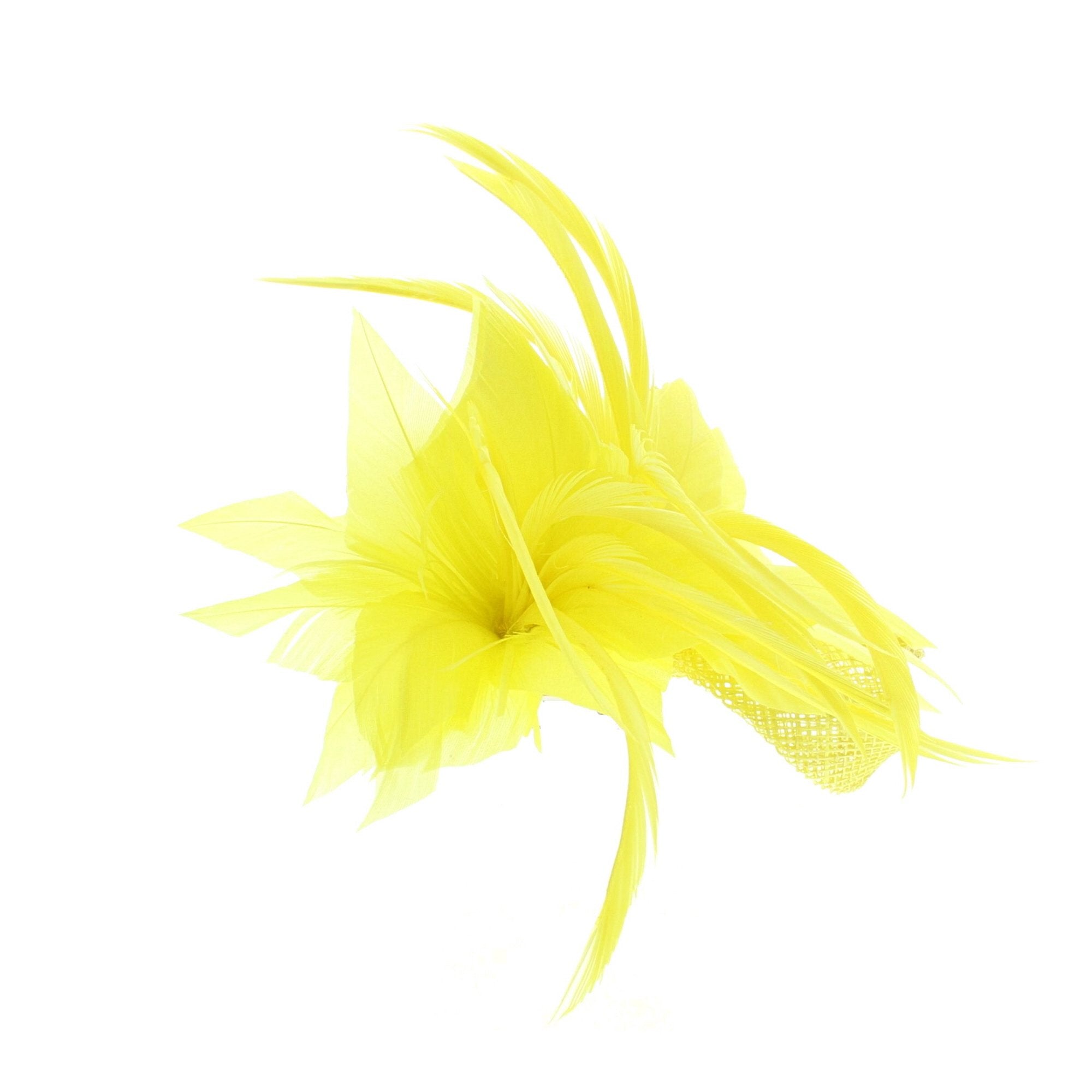 Fascinator on Clip & Brooch