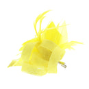 Fascinator on Clip & Brooch