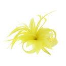 Fascinator on Clip & Brooch