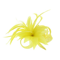 Fascinator on Clip & Brooch