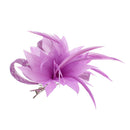 Fascinator on Clip & Brooch