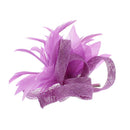 Fascinator on Clip & Brooch