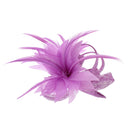 Fascinator on Clip & Brooch