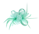 Fascinator on Clip & Brooch