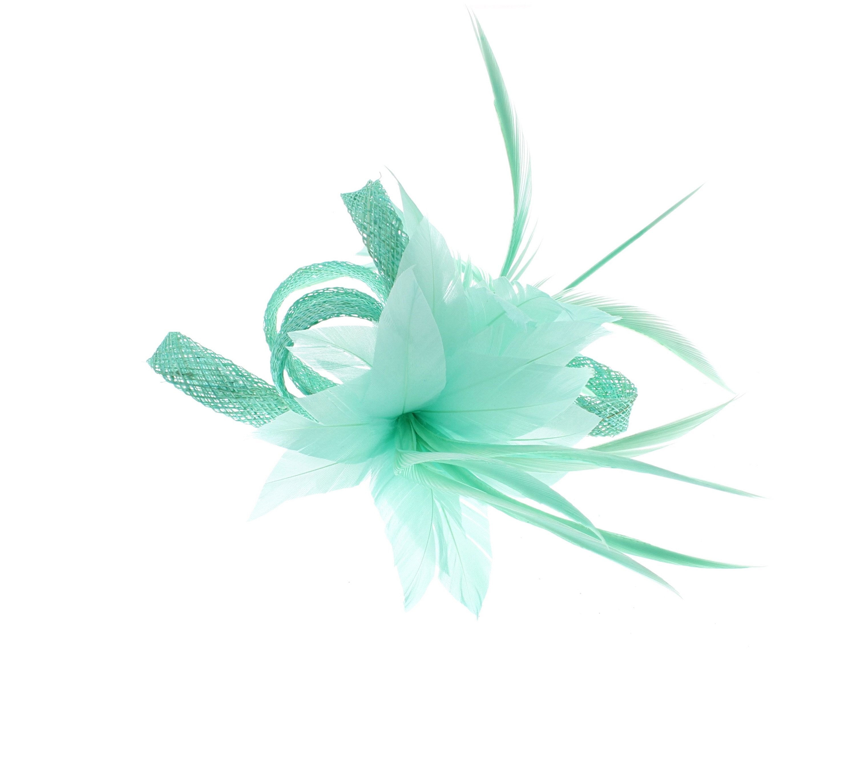 Fascinator on Clip & Brooch