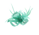 Fascinator on Clip & Brooch