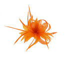 Fascinator on Clip & Brooch