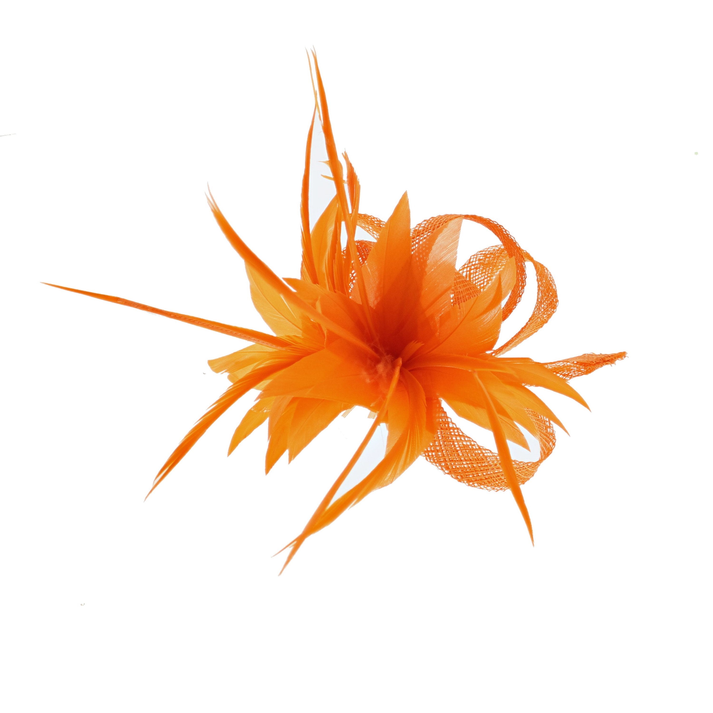 Fascinator on Clip & Brooch