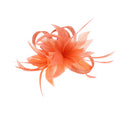 Fascinator on Clip & Brooch