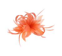 Fascinator on Clip & Brooch