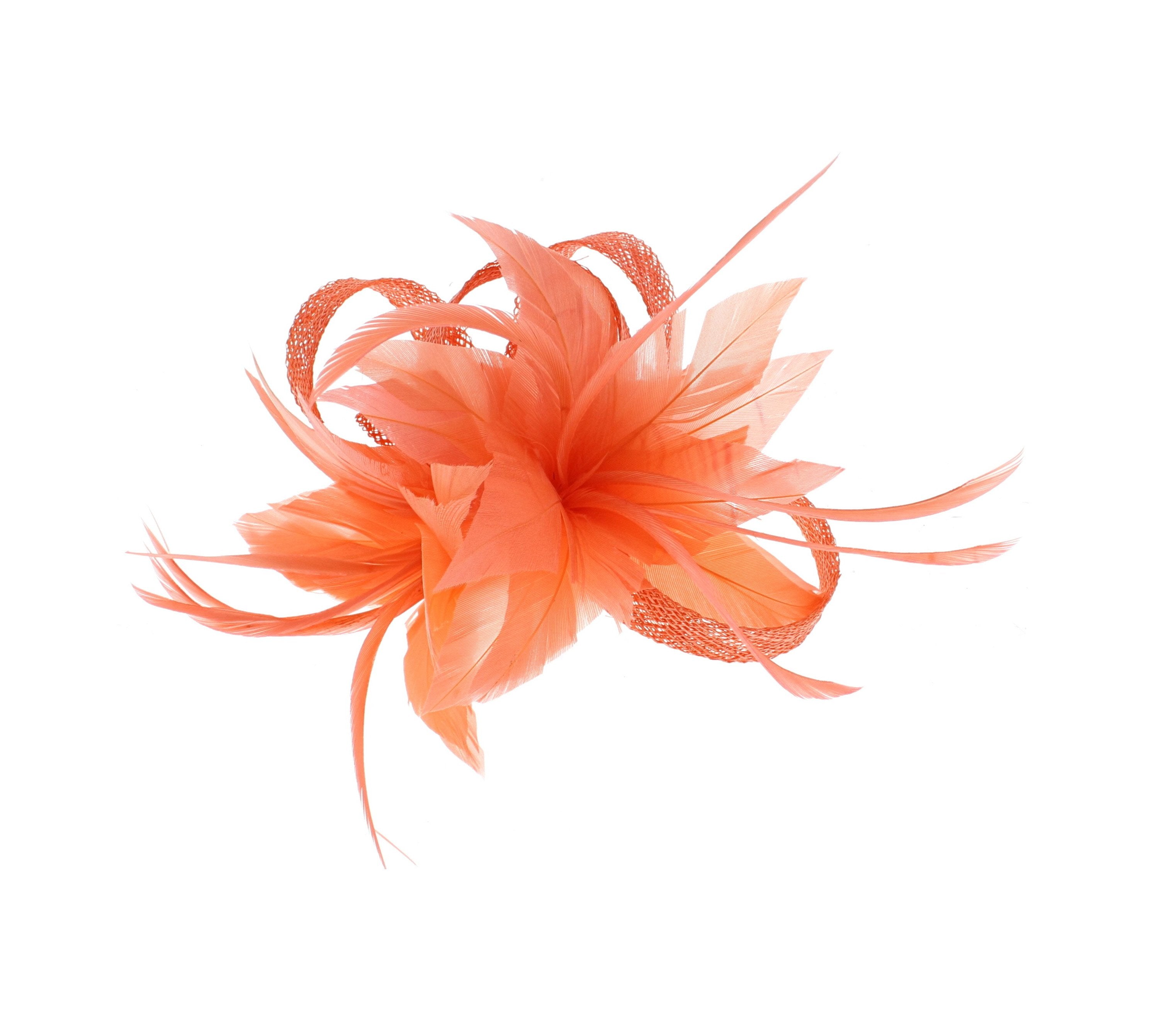 Fascinator on Clip & Brooch