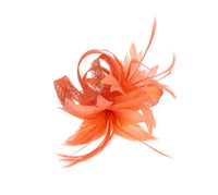 Fascinator on Clip & Brooch