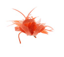 Fascinator on Clip & Brooch