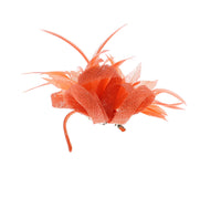 Fascinator on Clip & Brooch