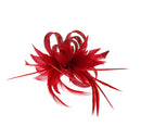 Fascinator on Clip & Brooch