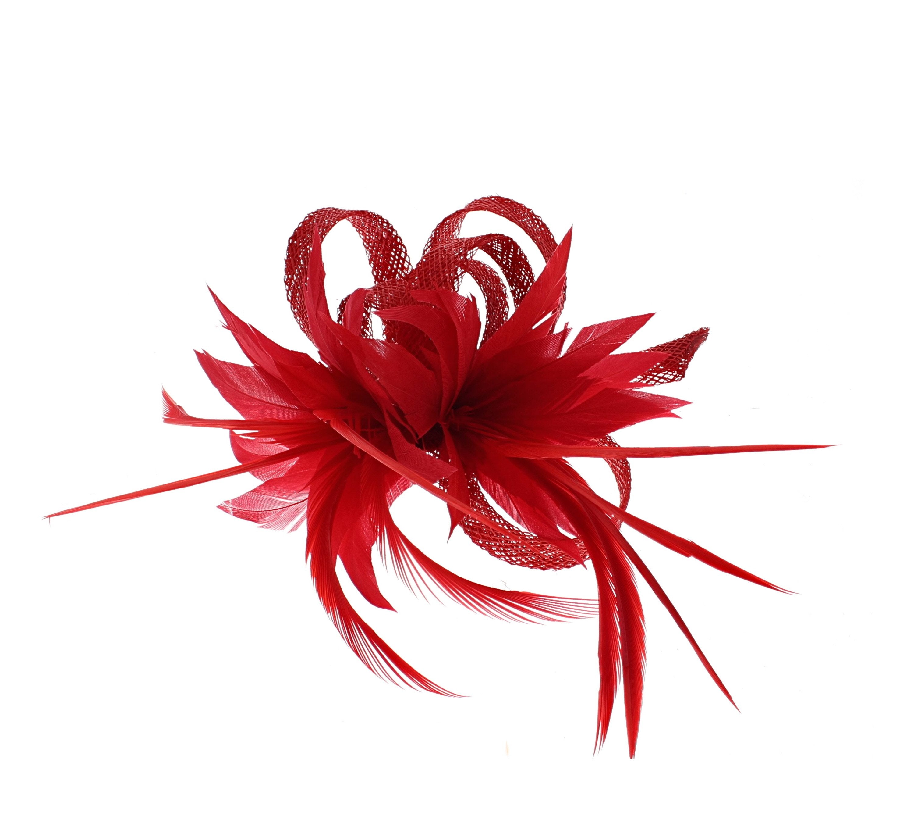 Fascinator on Clip & Brooch