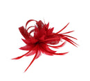 Fascinator on Clip & Brooch