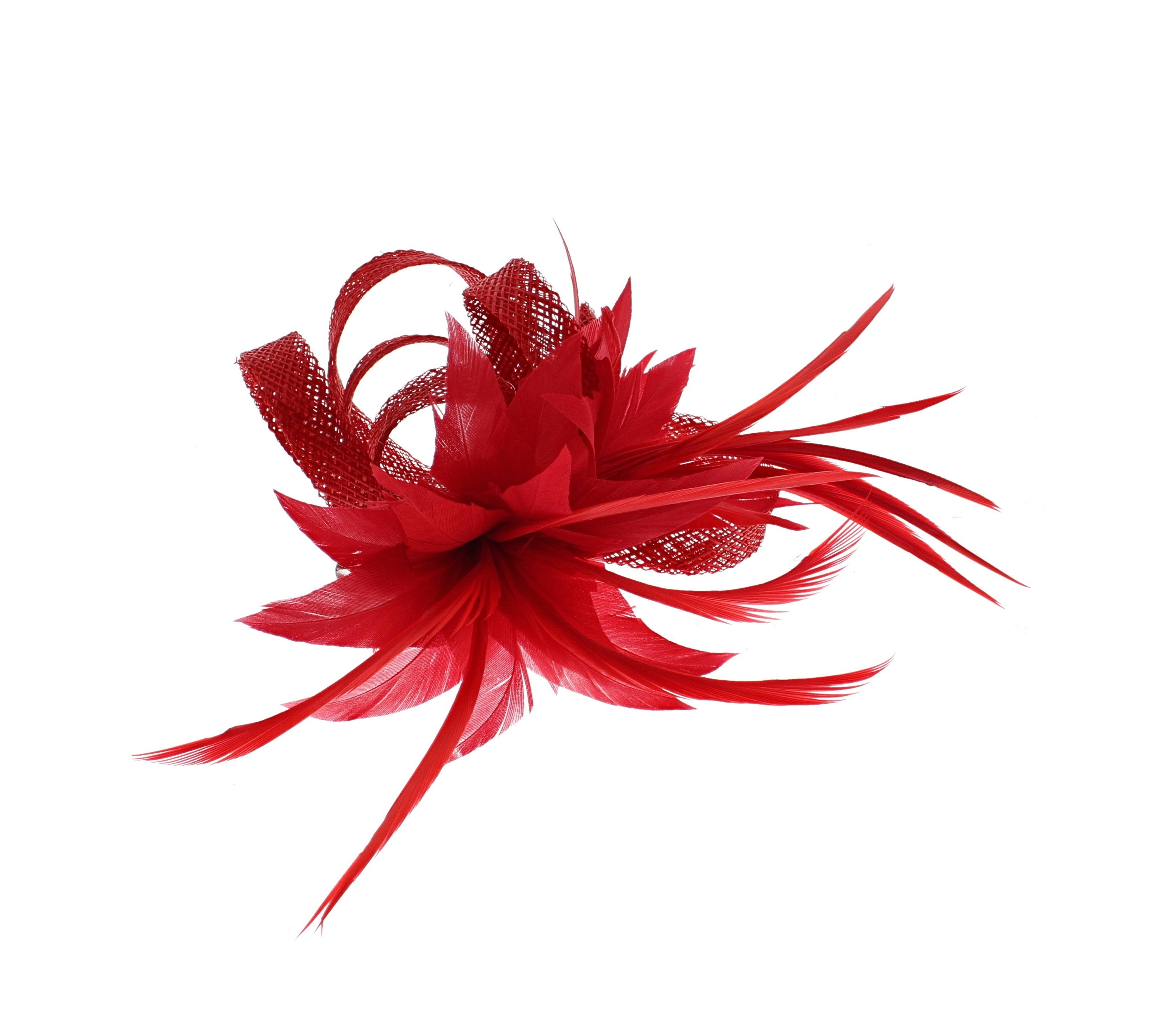 Fascinator on Clip & Brooch