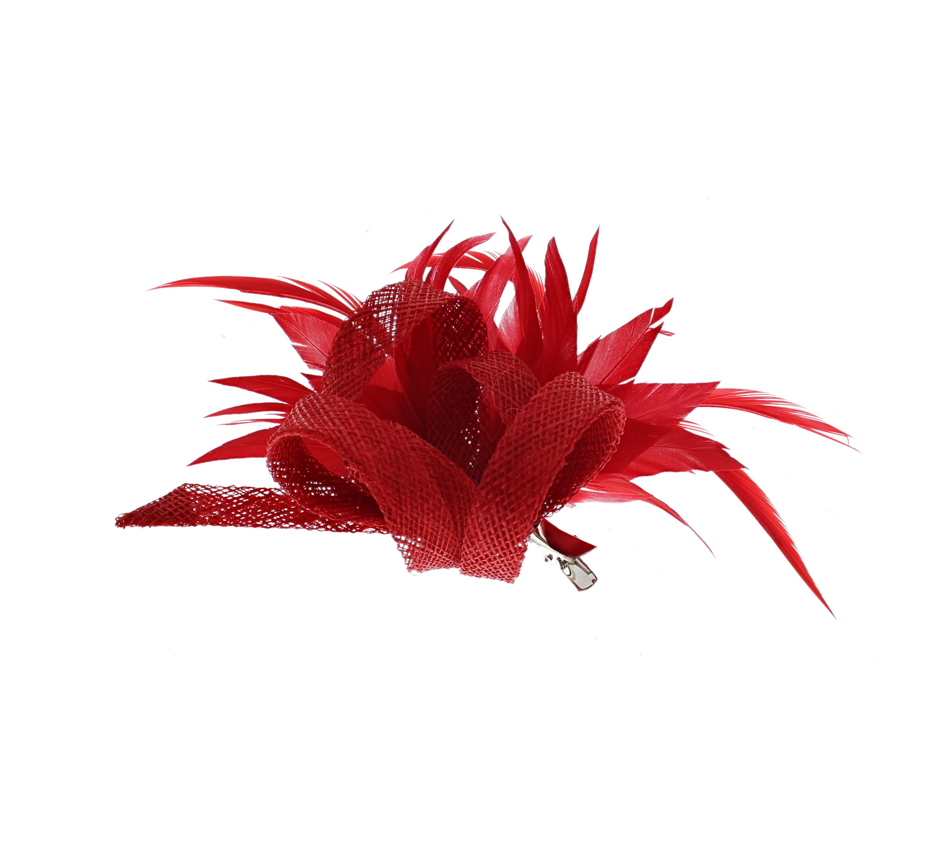 Fascinator on Clip & Brooch