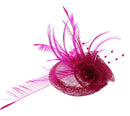 Fascinator on Clip & Brooch Pin