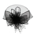 Fascinator on Concord Beak Clip or Aliceband