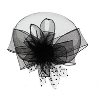 Fascinator on Concord Beak Clip or Aliceband
