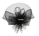 Fascinator on Concord Beak Clip or Aliceband