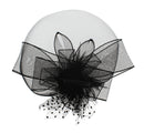 Fascinator on Concord Beak Clip or Aliceband