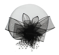 Fascinator on Concord Beak Clip or Aliceband