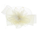 Fascinator on Concord Beak Clip or Aliceband