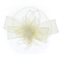Fascinator on Concord Beak Clip or Aliceband