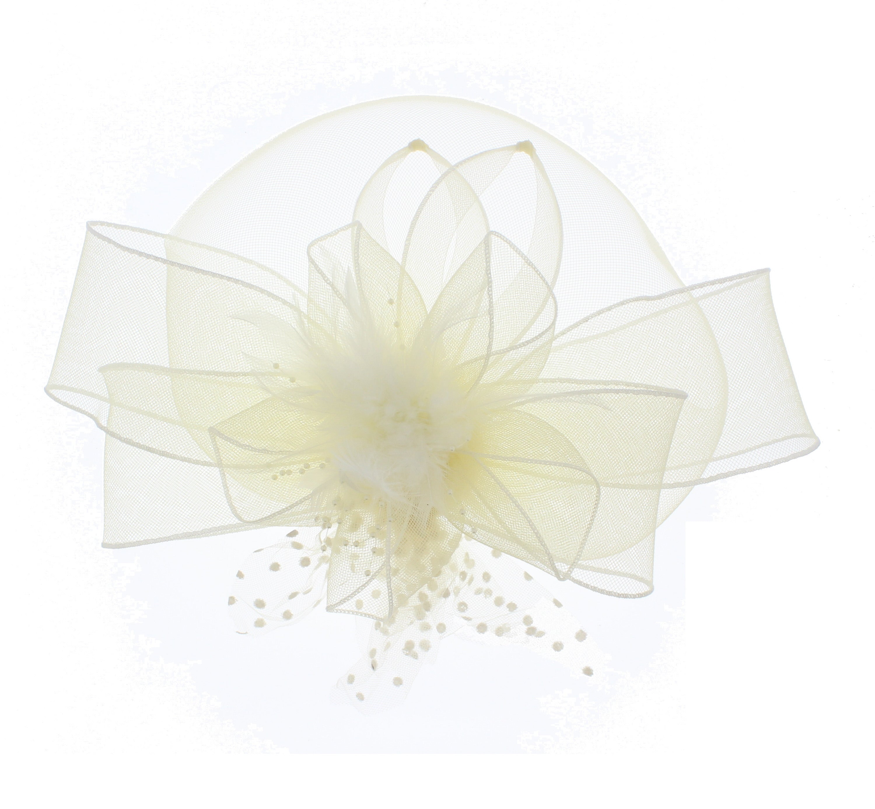 Fascinator on Concord Beak Clip or Aliceband