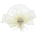 Fascinator on Concord Beak Clip or Aliceband