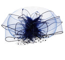 Fascinator on Concord Beak Clip or Aliceband
