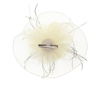 Fascinator on Concord Beak Clip or Aliceband