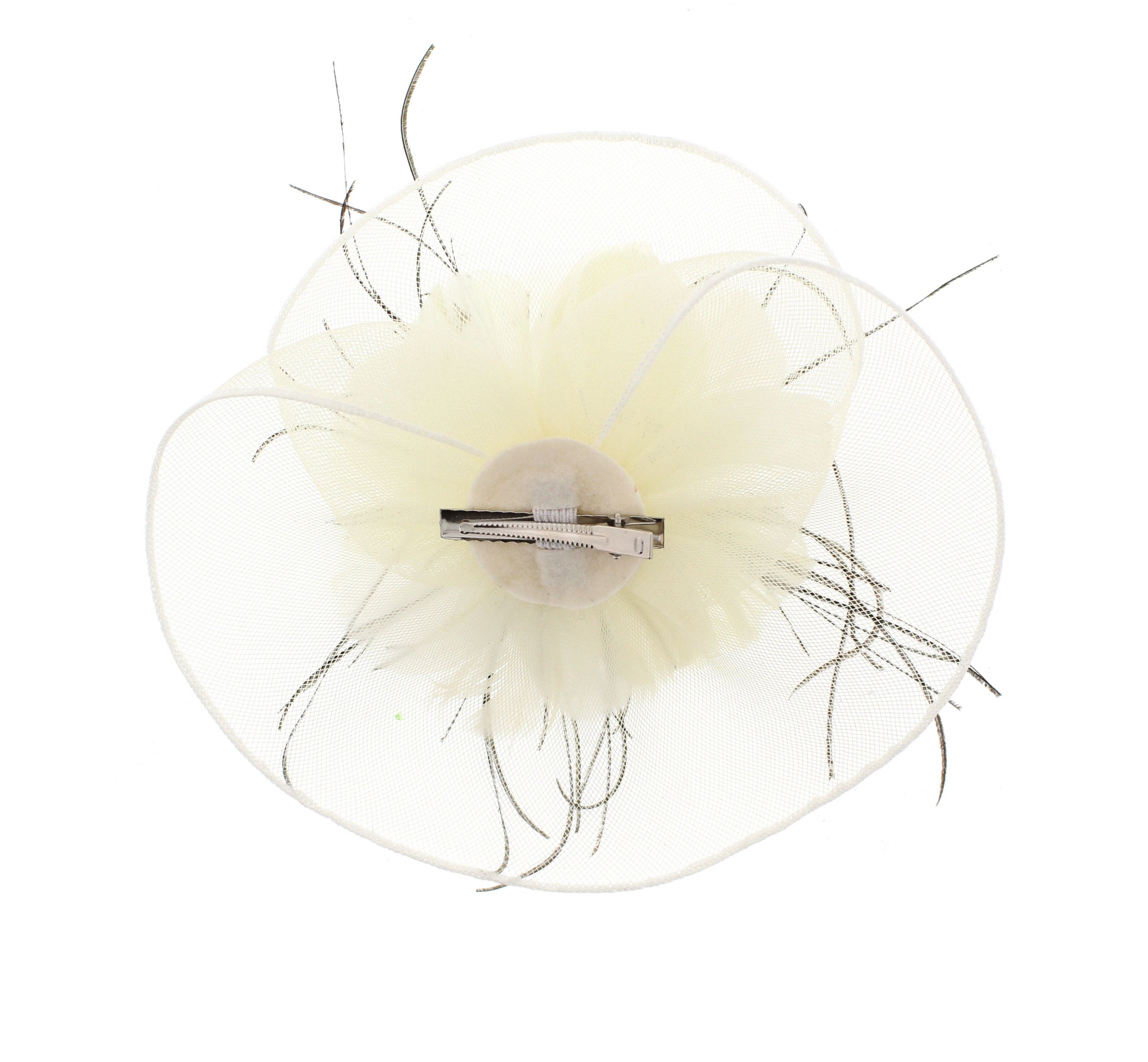 Fascinator on Concord Beak Clip or Aliceband