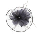 Fascinator on Concord Beak Clip or Aliceband