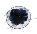 Fascinator on Concord Beak Clip or Aliceband