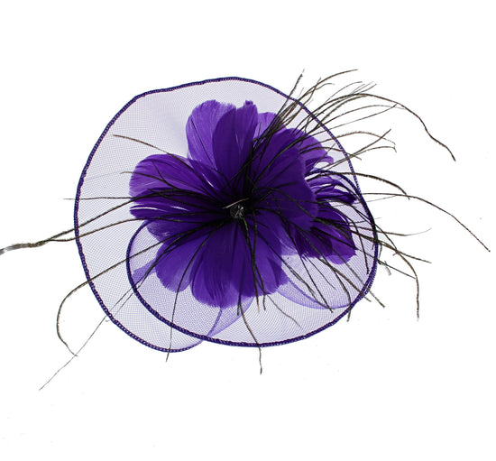 Fascinator on Concord Beak Clip or Aliceband