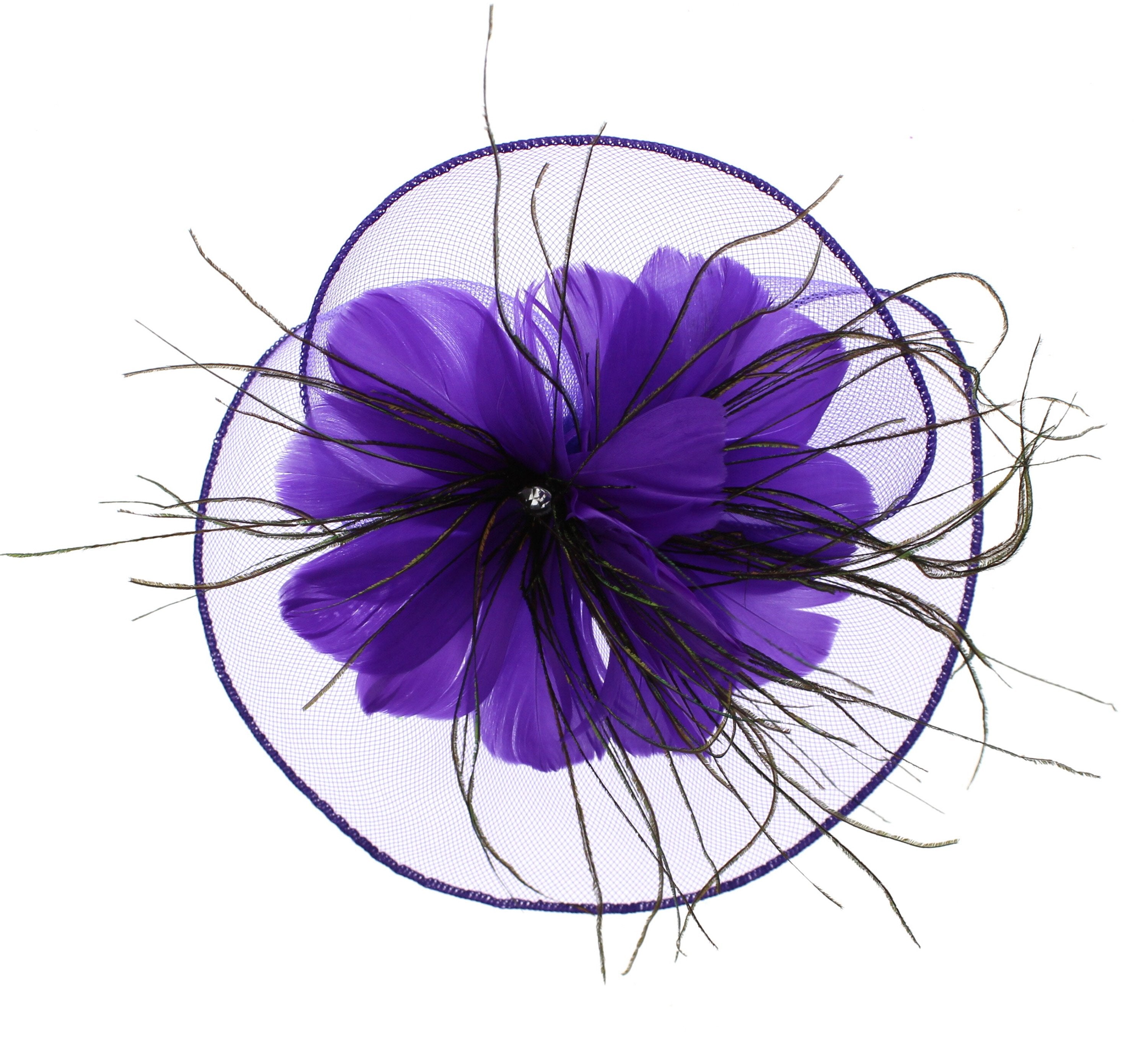 Fascinator on Concord Beak Clip or Aliceband
