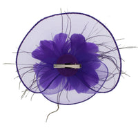 Fascinator on Concord Beak Clip or Aliceband