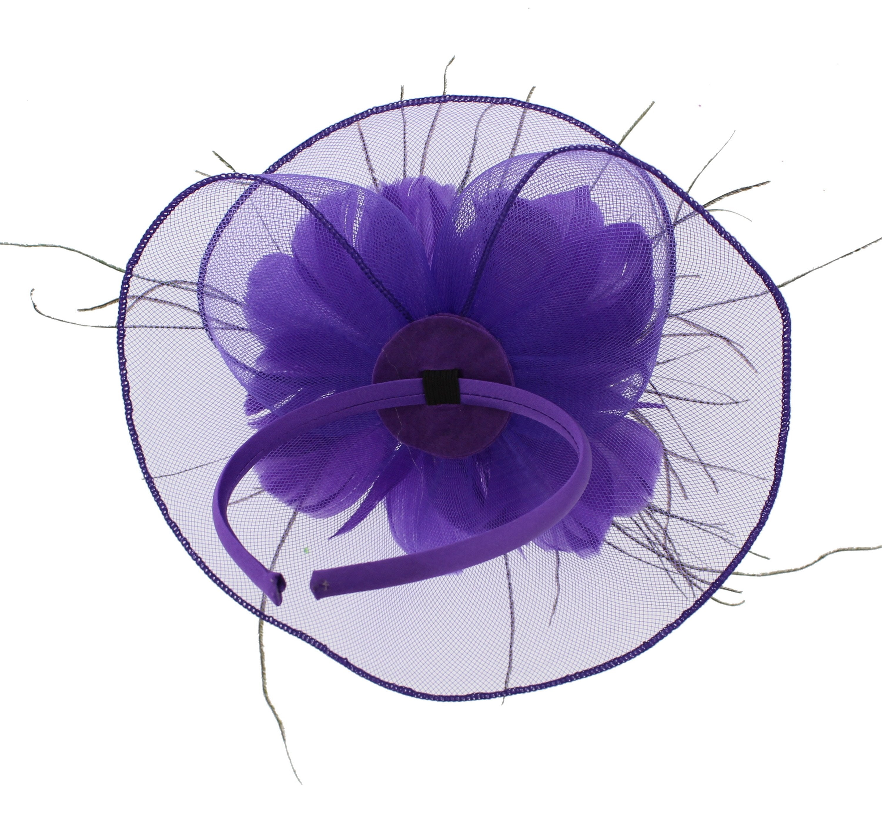 Fascinator on Concord Beak Clip or Aliceband
