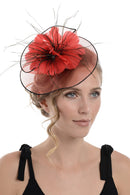 Fascinator on Concord Beak Clip or Aliceband