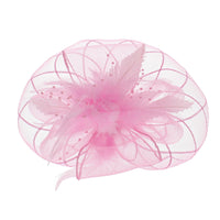 Fascinator on Concord Beak Clip or Aliceband