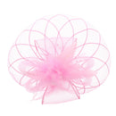 Fascinator on Concord Beak Clip or Aliceband