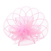 Fascinator on Concord Beak Clip or Aliceband