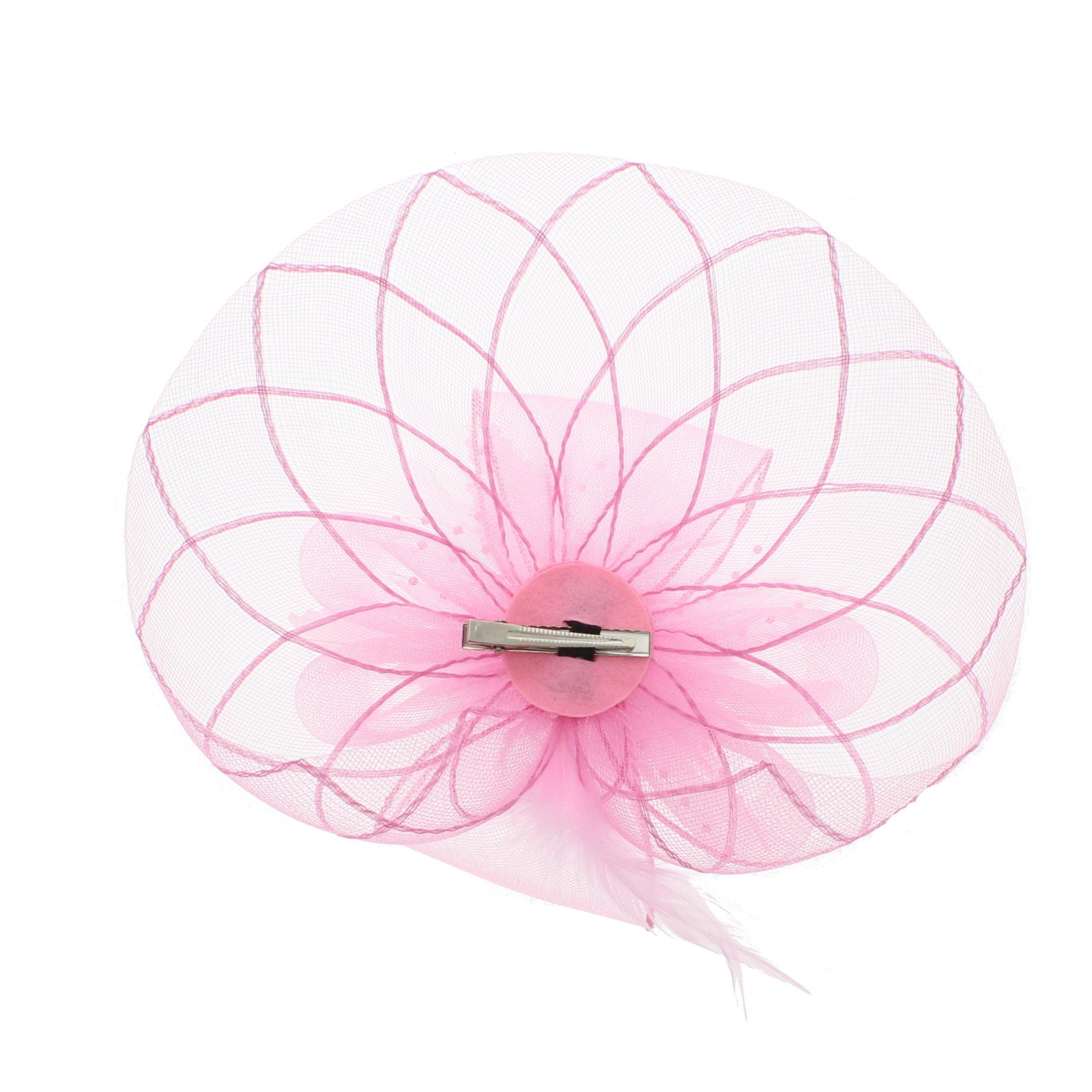 Fascinator on Concord Beak Clip or Aliceband
