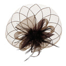 Fascinator on Concord Beak Clip or Aliceband