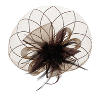 Fascinator on Concord Beak Clip or Aliceband